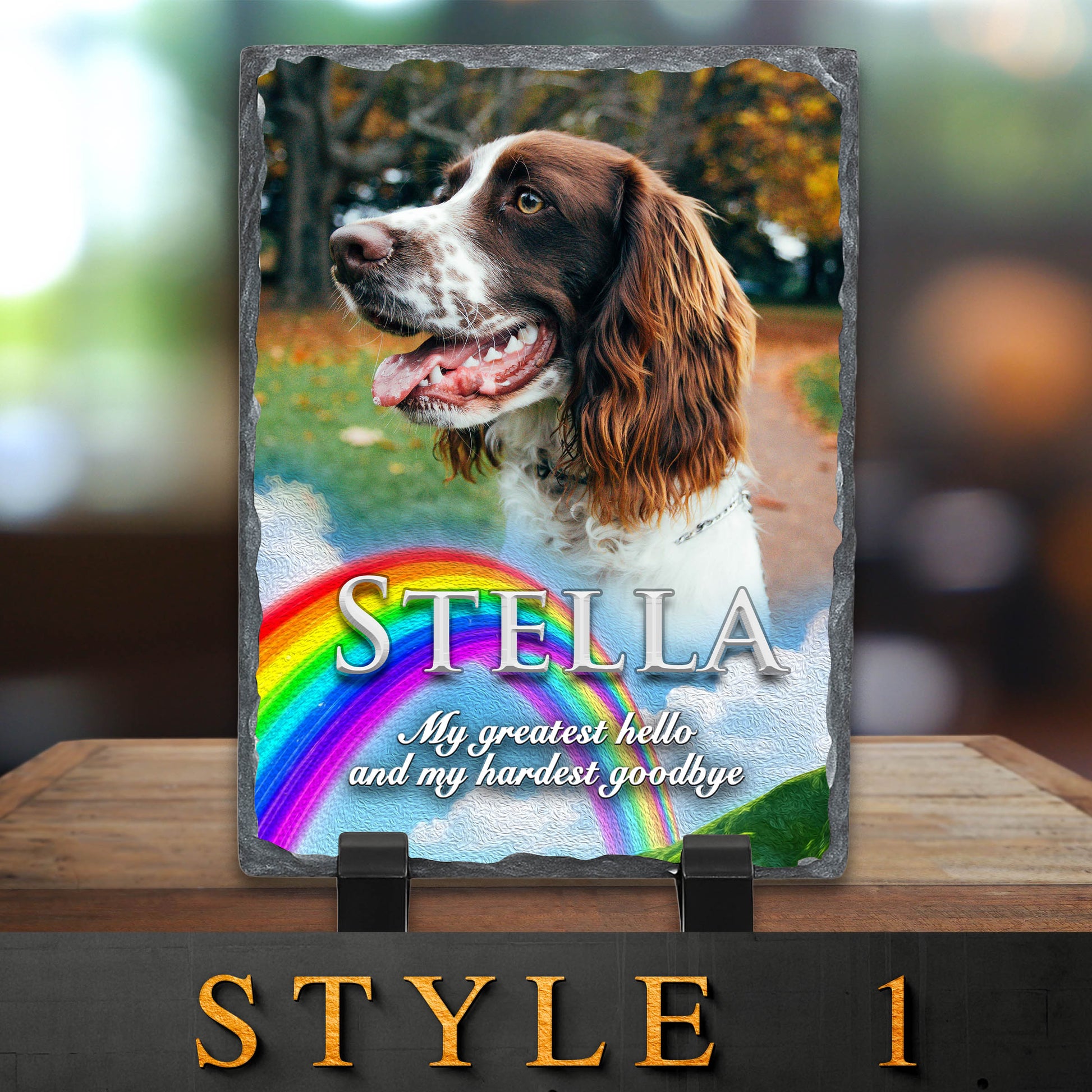 Memorial plaque with a dog's photo and rainbow design on a blurred background