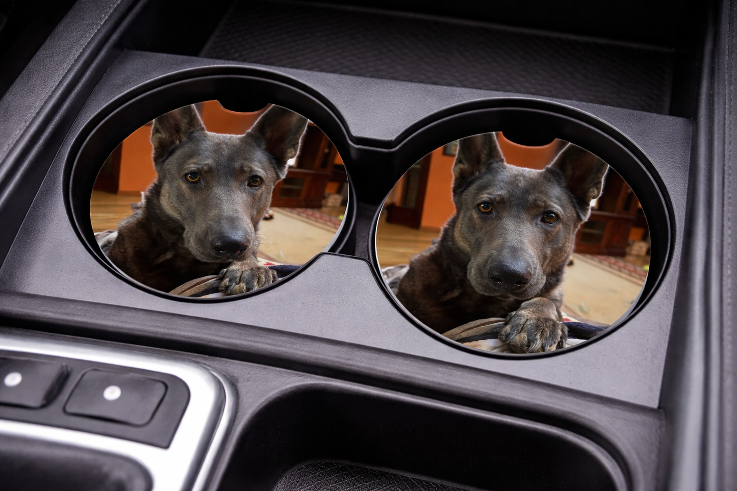 Two circular cup holders in a car with a dog's reflection visible.