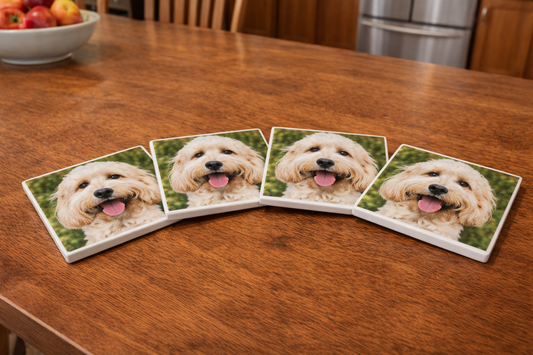 Set of four ceramic coasters with a dog's face on each, arranged in a semi-circle on a wooden table.