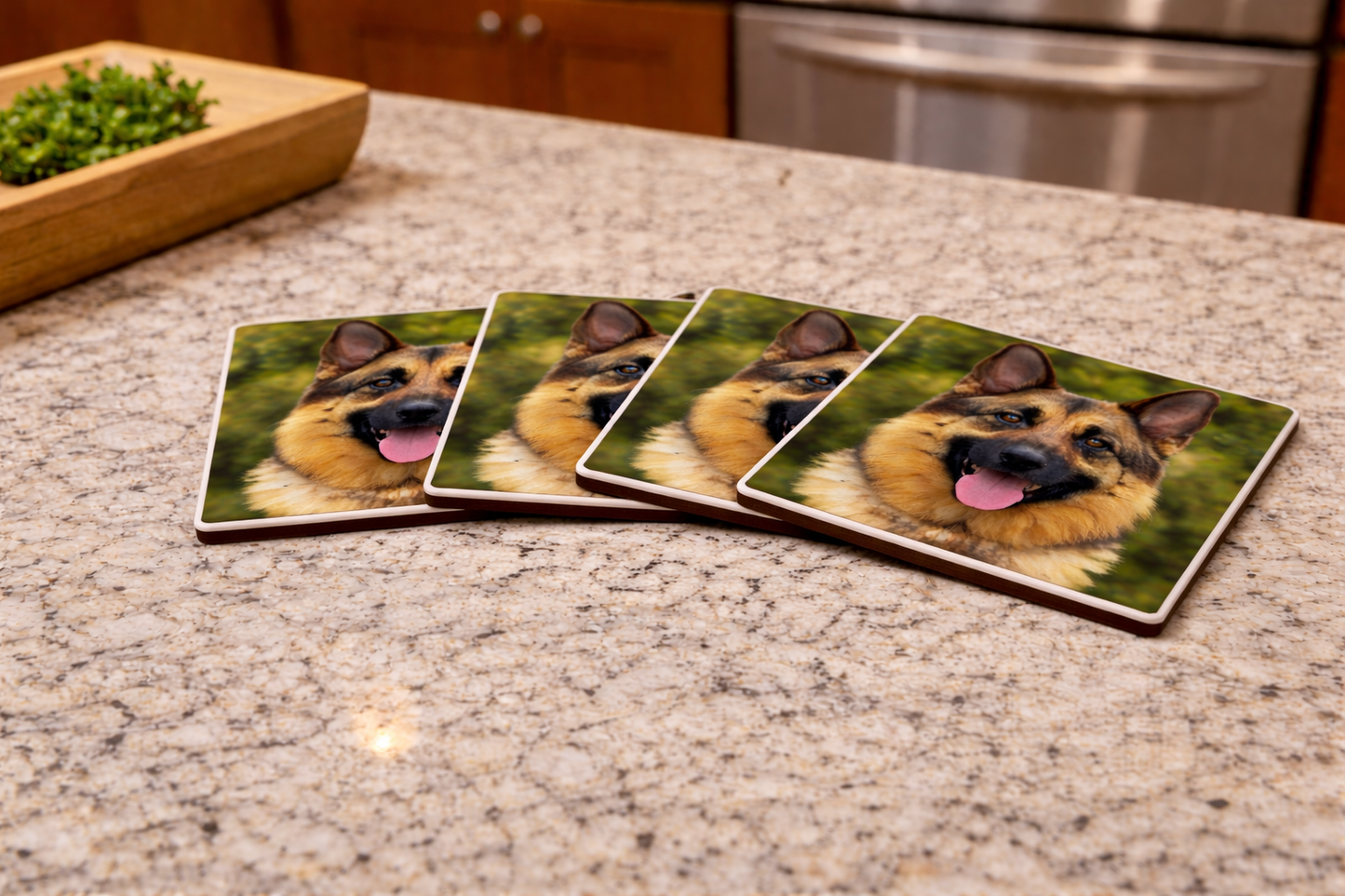 Four coasters with a dog's face on each, placed on a kitchen counter.