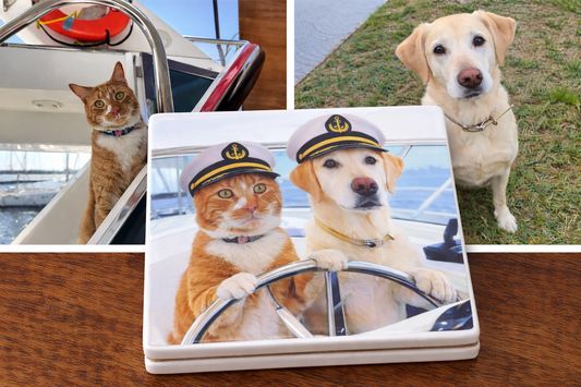 Collage of a cat and dog on a boat, with the dog wearing a captain's hat.